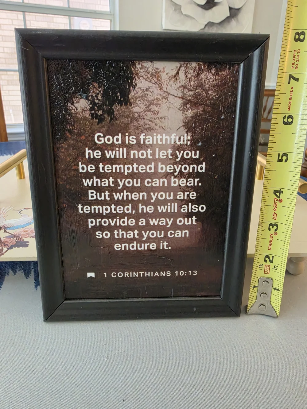 Framed inspirational print Bible verse 1 Corinthians 10:13 Dark forest Tree